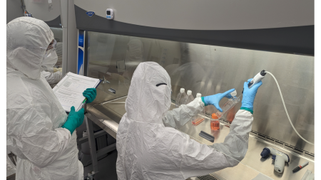 Aseptic Techniques & Cell Culture (offer to past trainees)